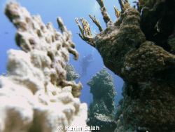 diver inside by Karim Salah 